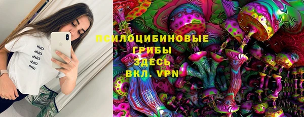 крисы Ладушкин