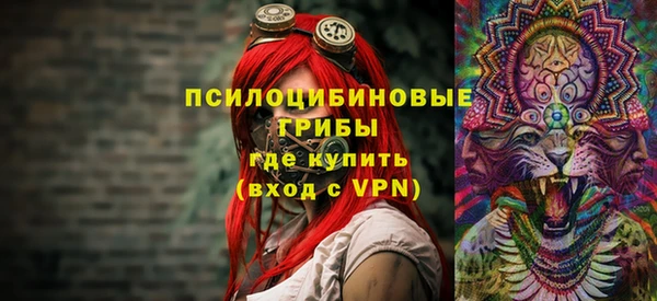 эйфоретик Липки