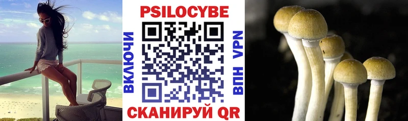 как найти наркотики  Находка  Галлюциногенные грибы мицелий 