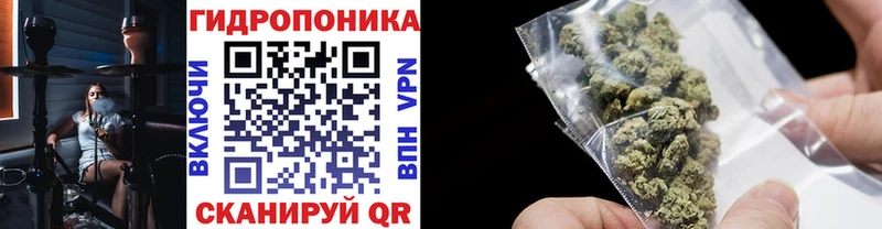 Каннабис конопля  это как зайти  Находка 